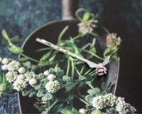 올리아 큐트 허니비 헤어핀 (2color)